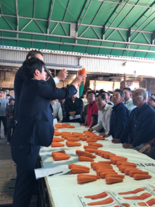 JA富里市　にんじんの査定会